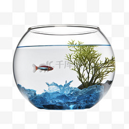 鱼缸图片_建模圆形鱼缸元素立体免抠图案