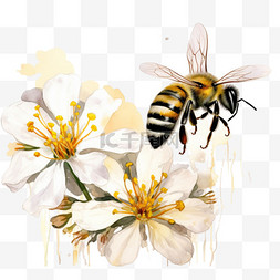 绘画蜜蜂采蜜元素立体免抠图案