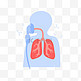呼吸道疾病肺部PNG素材