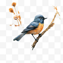 蓝色小鸟图片_蓝色小鸟元素立体免抠图案