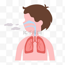 呼吸道肺部器官免抠图片