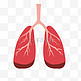 呼吸系统肺热设计
