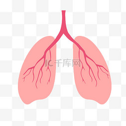 润肺止咳肺心病免抠素材