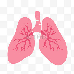 肺疾病图片_呼吸道肺结核免抠图片