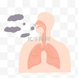 呼吸道图片_呼吸道肺热肺叶支气管炎插画