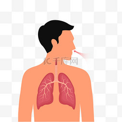 肺部手绘呼吸图片_卡通手绘呼吸道素材