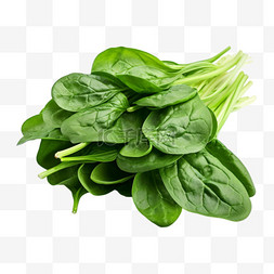 绿叶质感图片_质感蔬菜绿叶元素立体免抠图案