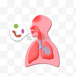 肺部呼吸道感染卡通手绘侧面图素材