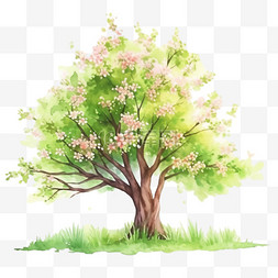 春天一颗手绘樱花树元素