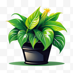 绿背景图图片_绿萝植物元素插画背景图