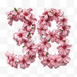 妇女节女神节粉色花朵文字3.8png图
