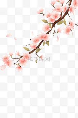 春天盛开的樱花枝元素手绘