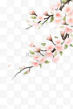 白色的樱花手绘图片_春天手绘盛开的樱花枝元素