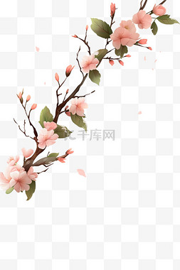 手绘元素春天盛开的樱花枝