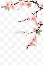 手绘盛开的樱花春天枝元素