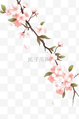 春天元素盛开的樱花枝手绘