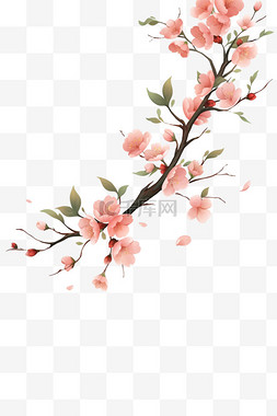 手绘春天元素盛开的樱花枝