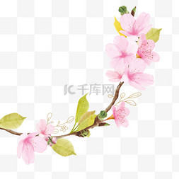 春季唯美粉色花枝花朵装饰元素