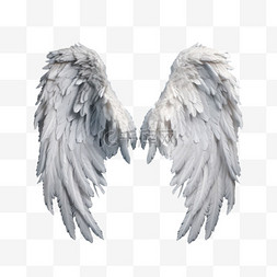 免抠天使素材图片_纹理天使翅膀元素立体免抠图案