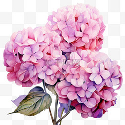 花团锦簇牡丹图片_ai绘画花团锦簇元素立体免抠图案