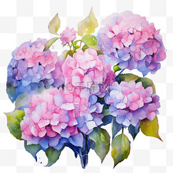 花团锦簇牡丹图片_几何花团锦簇元素立体免抠图案