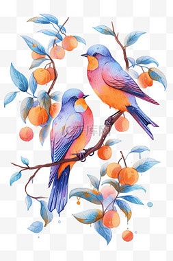 橙色配色图片_春天手绘情侣鸟枝头水彩插画元素