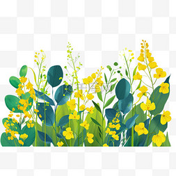 春天植物黄色小花图片_春天免抠黄色油菜花手绘元素