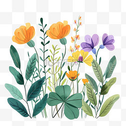 描边植物图片_元素春天花草植物手绘插画