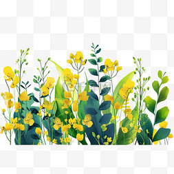 春天植物黄色小花图片_春天黄色手绘免抠油菜花元素