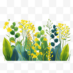 春天黄色手绘油菜花免抠元素