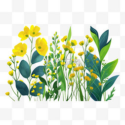 春天植物黄色小花图片_春天油菜花黄色手绘免抠元素