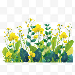 黄色油菜花春天手绘免抠元素