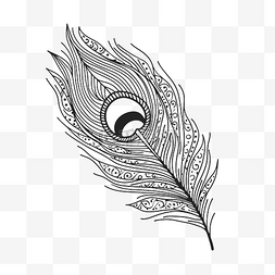 孔雀羽毛免费着色艺术可打印轮廓
