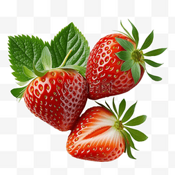 草莓实物图