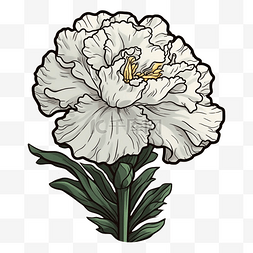 盛开的花朵图片_康乃馨白色美丽图案
