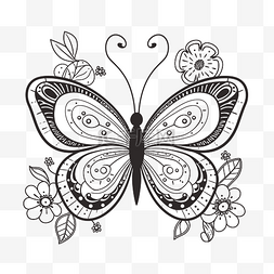 昆虫素描图片_黑白蝴蝶与花艺设计轮廓素描 向