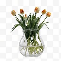 郁金香花瓶玻璃透明
