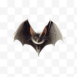 黑色蝙蝠展开翅膀飞翔卡通立体3d