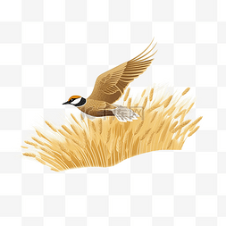候鸟日黄色小麦鸟