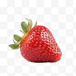 蔬菜种子种子图片_水果草莓红色