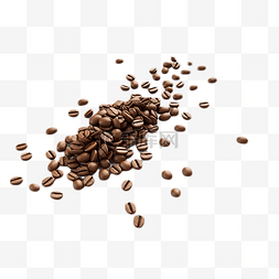 咖啡豆材料植物