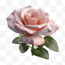 红玫瑰花环图片_玫瑰情人节花朵