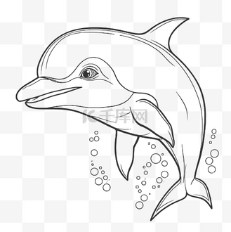 免费海豚着色页照片轮廓素描 向量