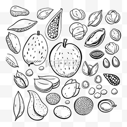 不同种类的水果和坚果在黑白轮廓