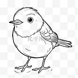 有头和身体的小鸟着色页轮廓素描