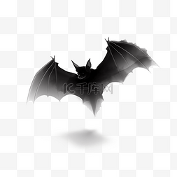 飞翔的蝙蝠黑色雾