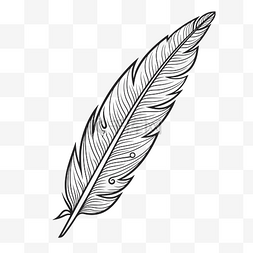 简单白色线条图片_在白色背景轮廓草图上绘制羽毛笔