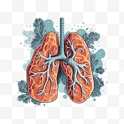 哮喘日肺部插画