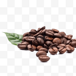 咖啡袁术图片_咖啡豆叶子棕色