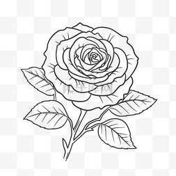 玫瑰花瓣线描图片_玫瑰花朵轮廓着色页素描 向量
